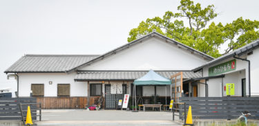 本わらび粉を贅沢に使った「わらびもち」が絶品！  喫茶　万葉