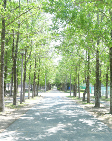 稲美中央公園